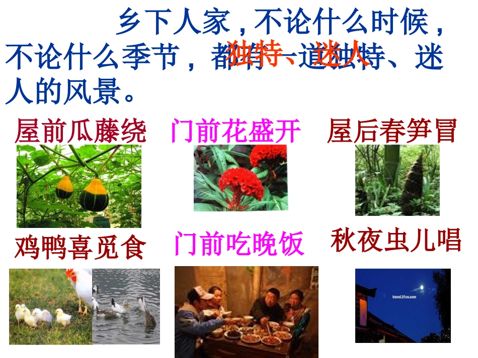 乡下人家教学课件_第3页