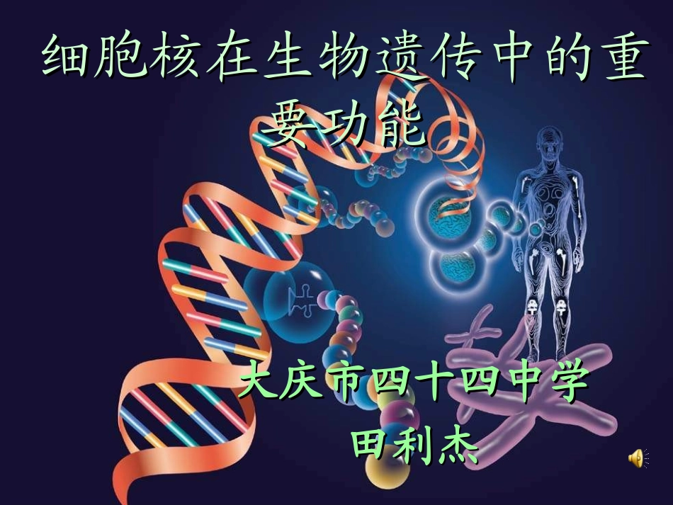 细胞核的主要作用23_第1页