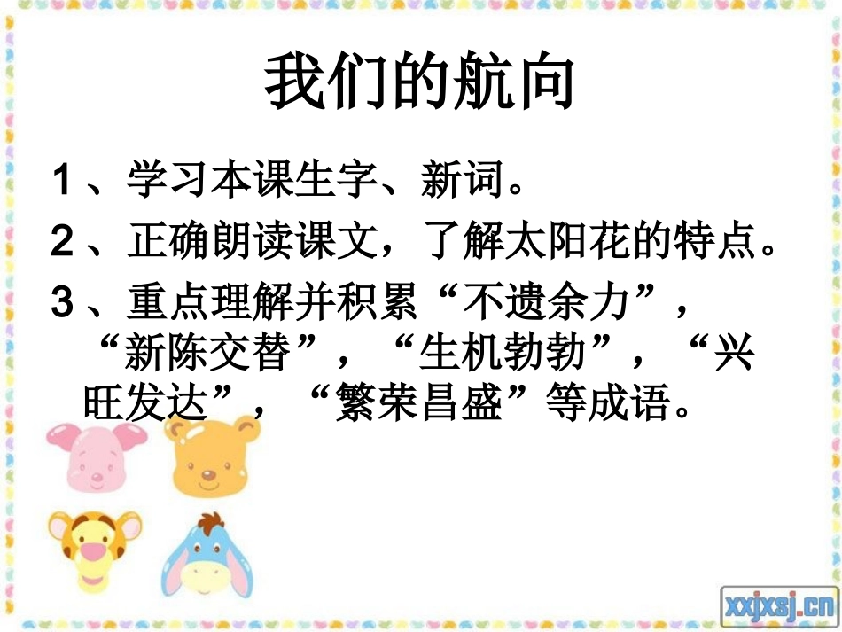 种一片太阳花1_第2页