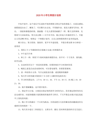 2020年小学生寒假计划表