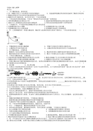 专题4酶与ATP