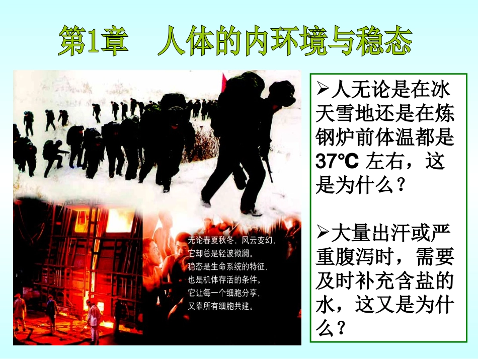 第一节细胞生活的环境（PPT）_第3页