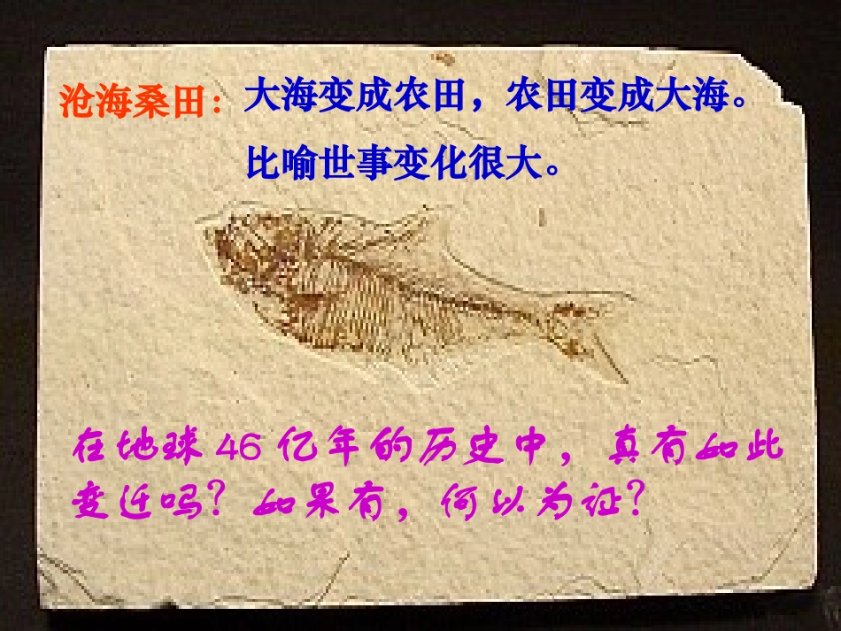 化石吟教学课件_第1页
