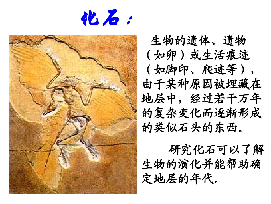 化石吟教学课件_第2页