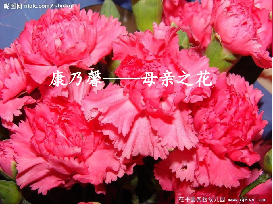 寸草报得三春晖_第2页