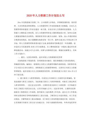 2020年人力资源工作计划怎么写2