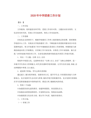 2020年团委工作计划2