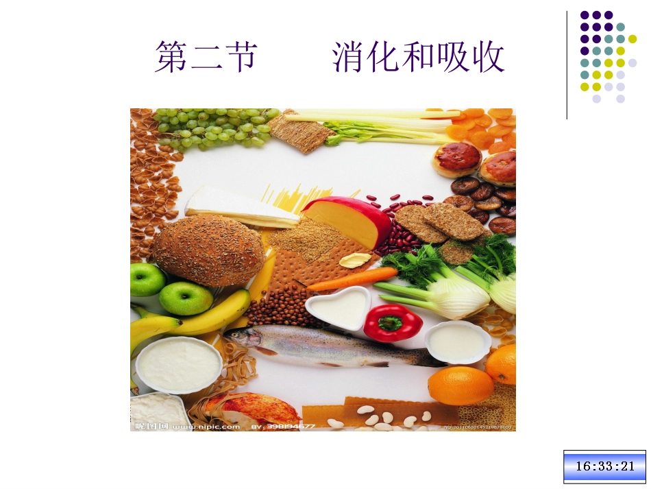 消化和吸收课件_第2页