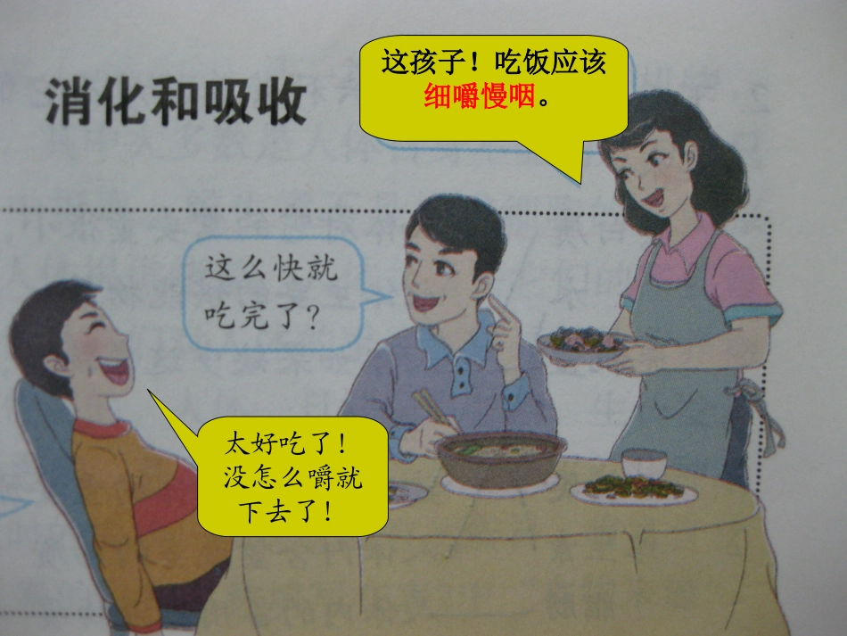 消化和吸收课件_第3页