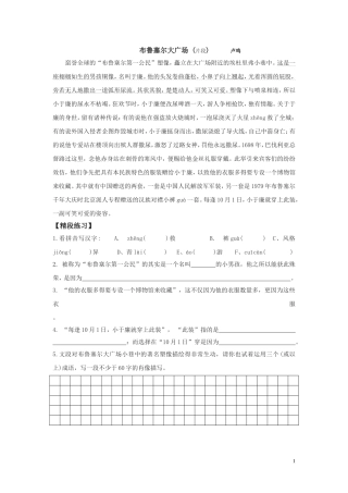 布鲁塞尔大广场复习