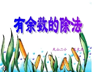 有余数除法王文杰
