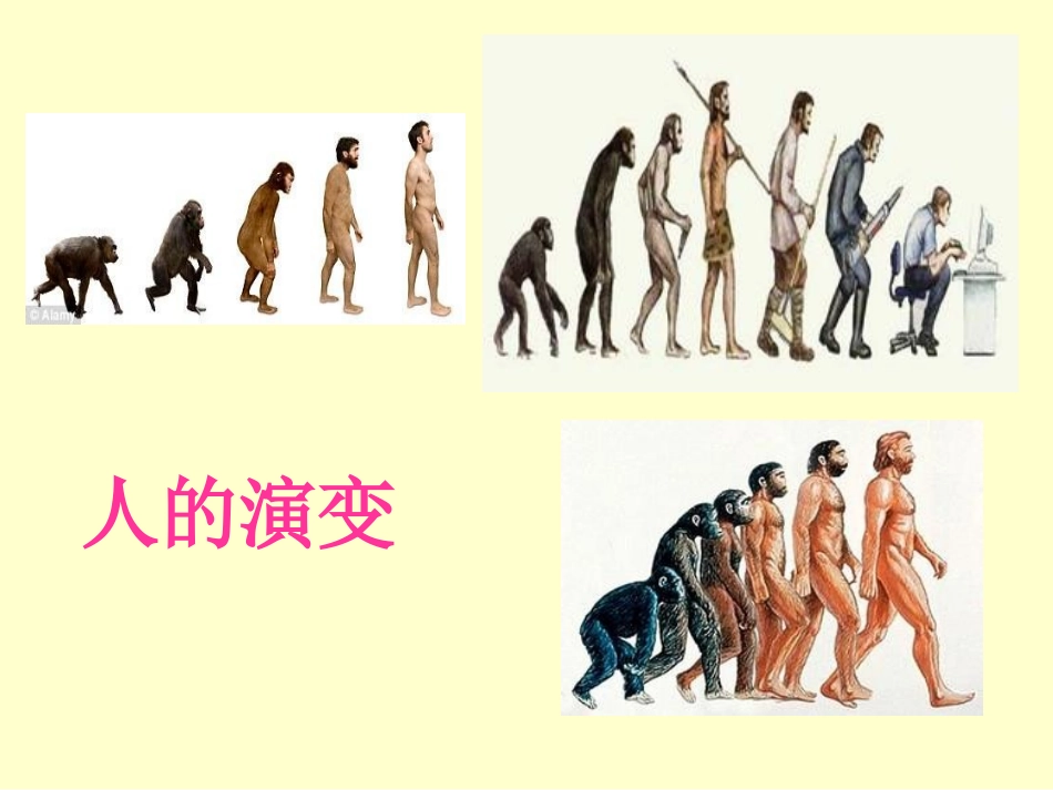 大班综合活动《我发现的变化》_第2页