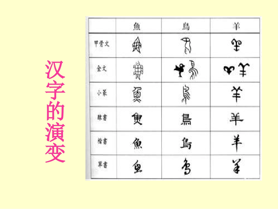 大班综合活动《我发现的变化》_第3页