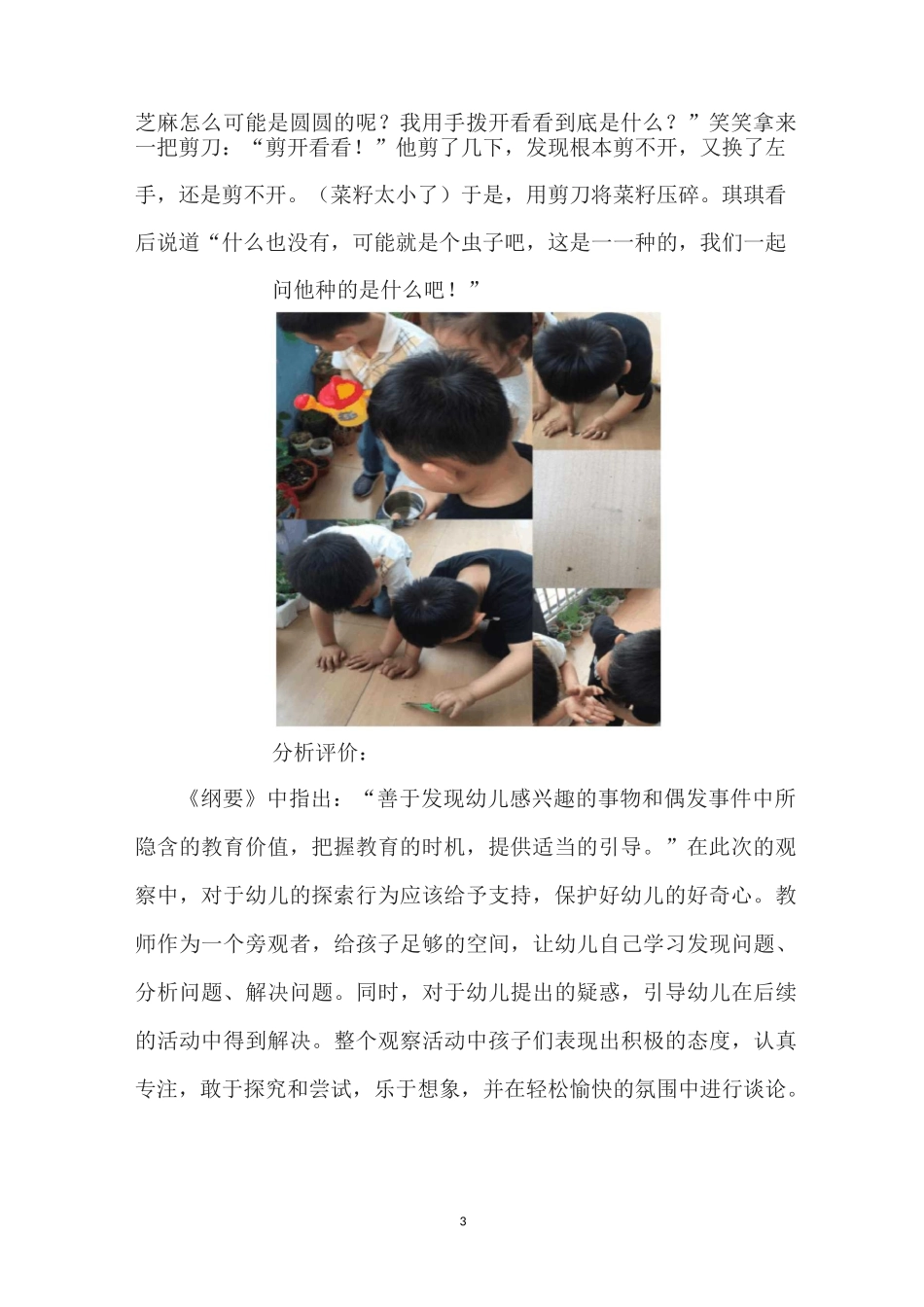 幼儿园观察记录：自然角_第3页