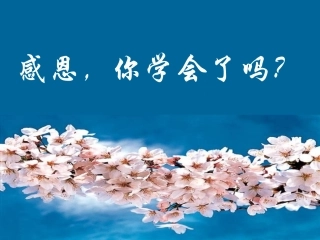 学生应学会感恩_主题班会