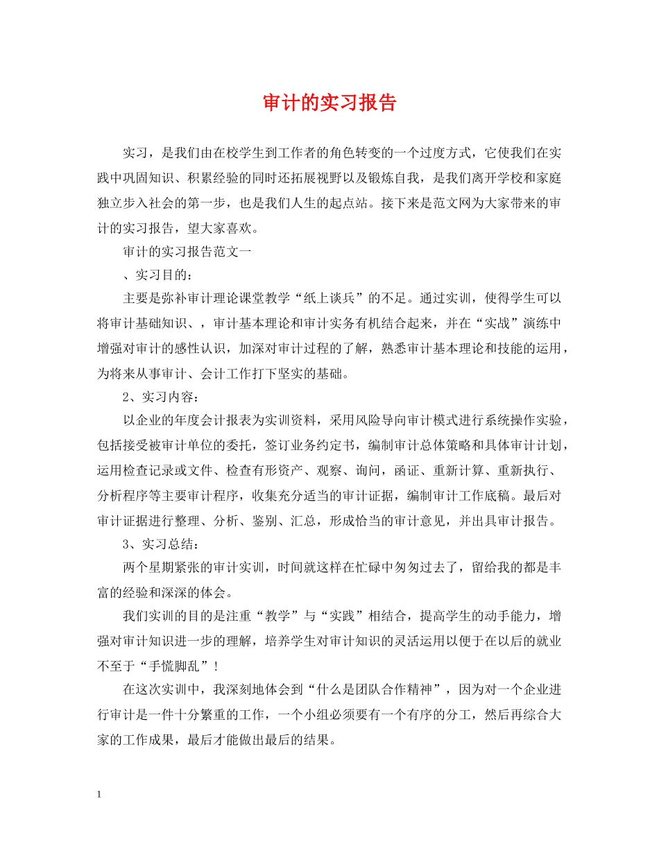 审计的实习报告 _第1页