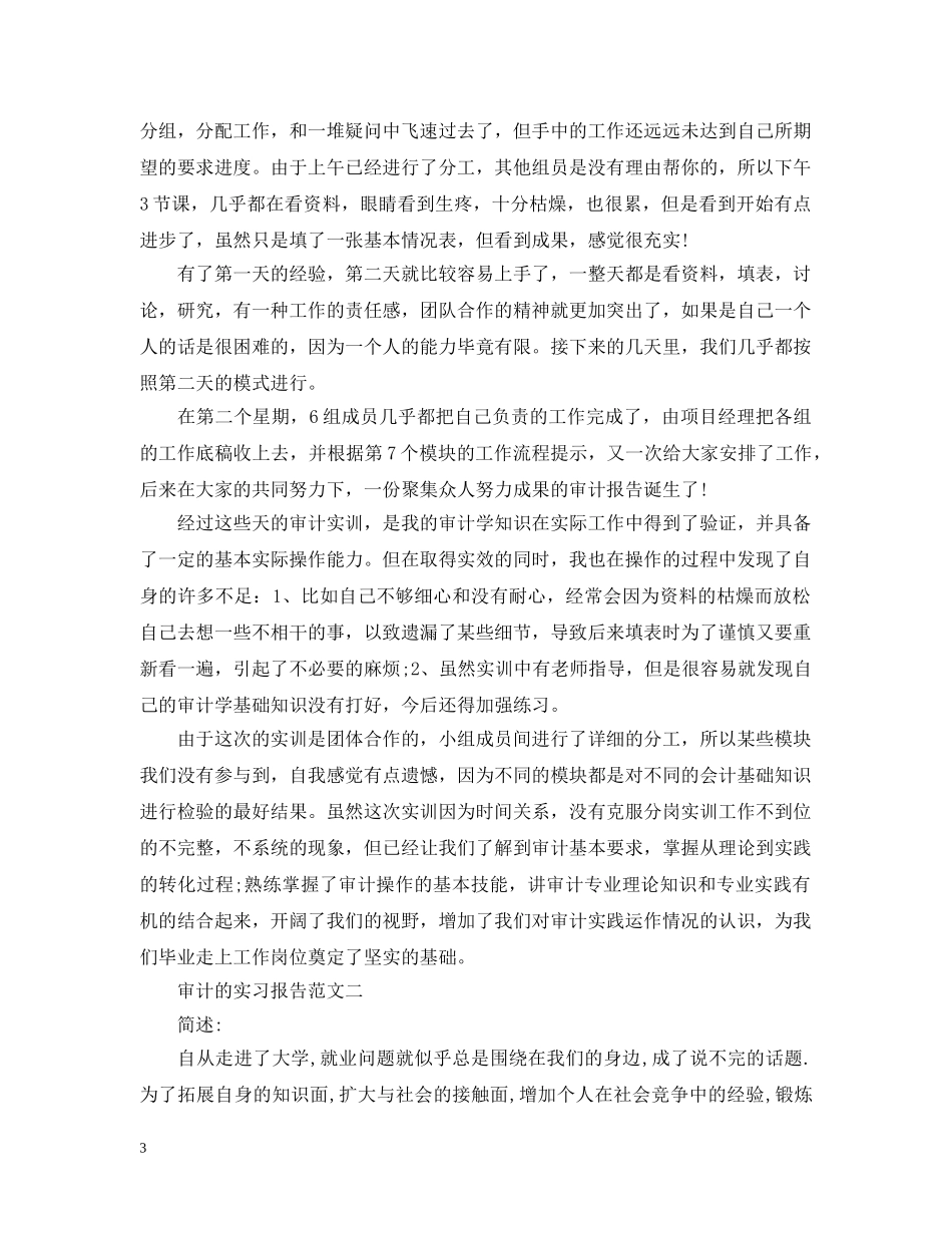 审计的实习报告 _第3页