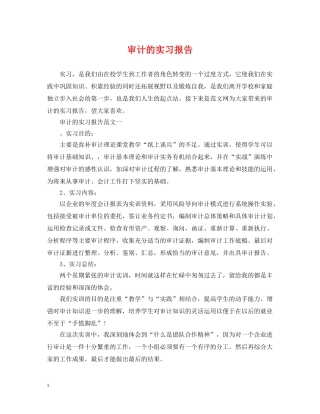 审计的实习报告 
