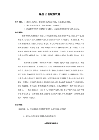 初中化学校本课程课题自制碳酸饮料