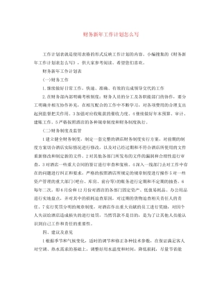 财务新年工作计划怎么写