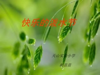 快乐的泼水节PPT课件四年级