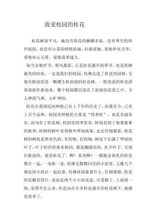 我爱校园的桂花