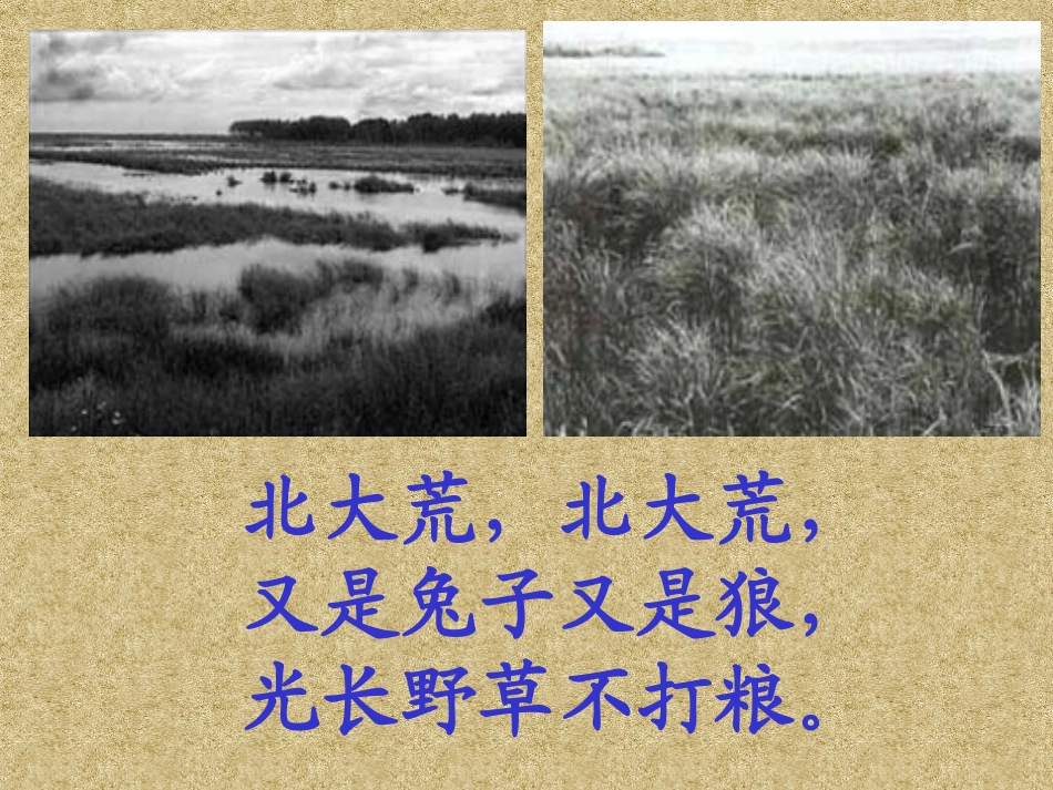 北大荒的秋天年级组研究课_第2页