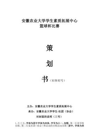 标准策划书字号格式模板