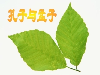 综合性学习《我所了解的孔子和孟子》