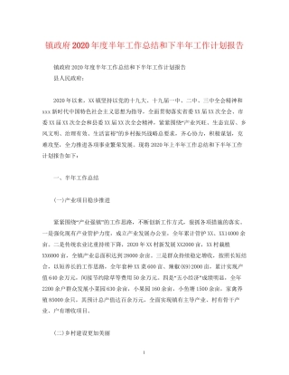 工作总结镇政府年度半年工作总结和下半年工作计划报告