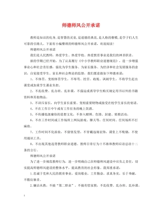 师德师风公开承诺 