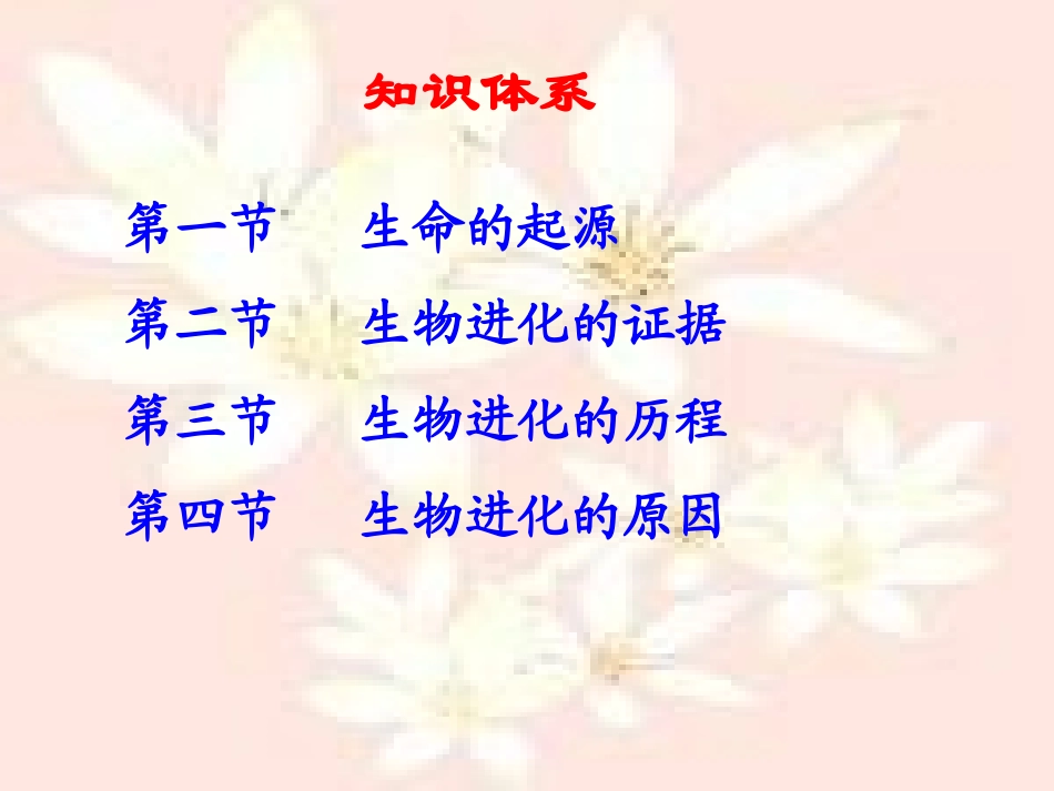 生命的起源和进化复习课件_第2页
