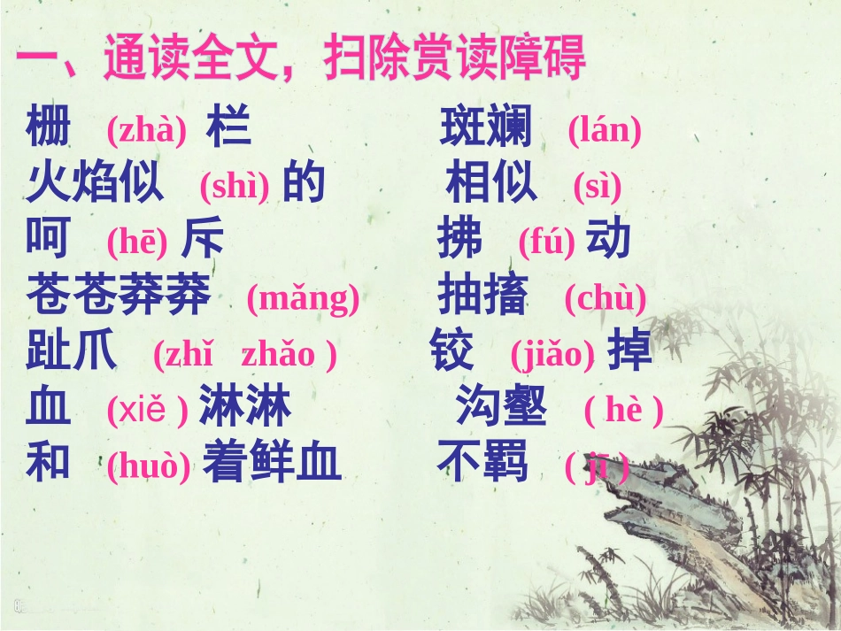 华南虎 (2)_第2页