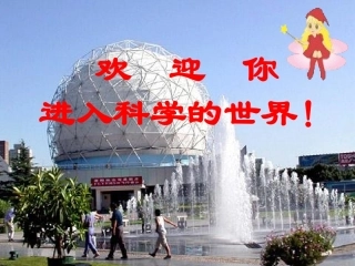 教科版六年级下册科学第二单元《第3课米饭、淀粉和碘酒的变化PPT课件》