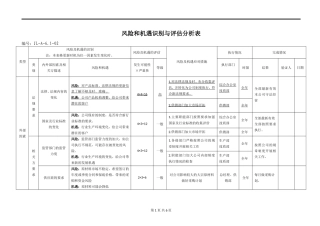 风险和机遇风险识别评估表---2016版-公司通用