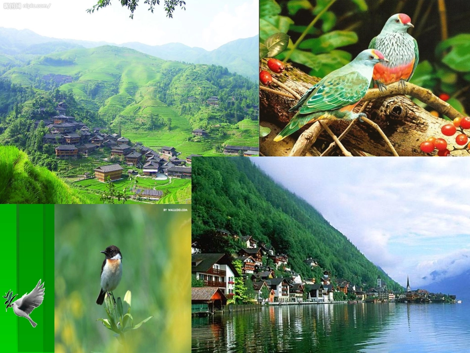 多年以前课件_第2页