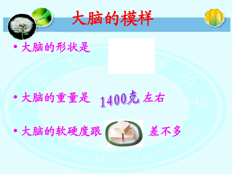 第三课我们的大脑_第3页