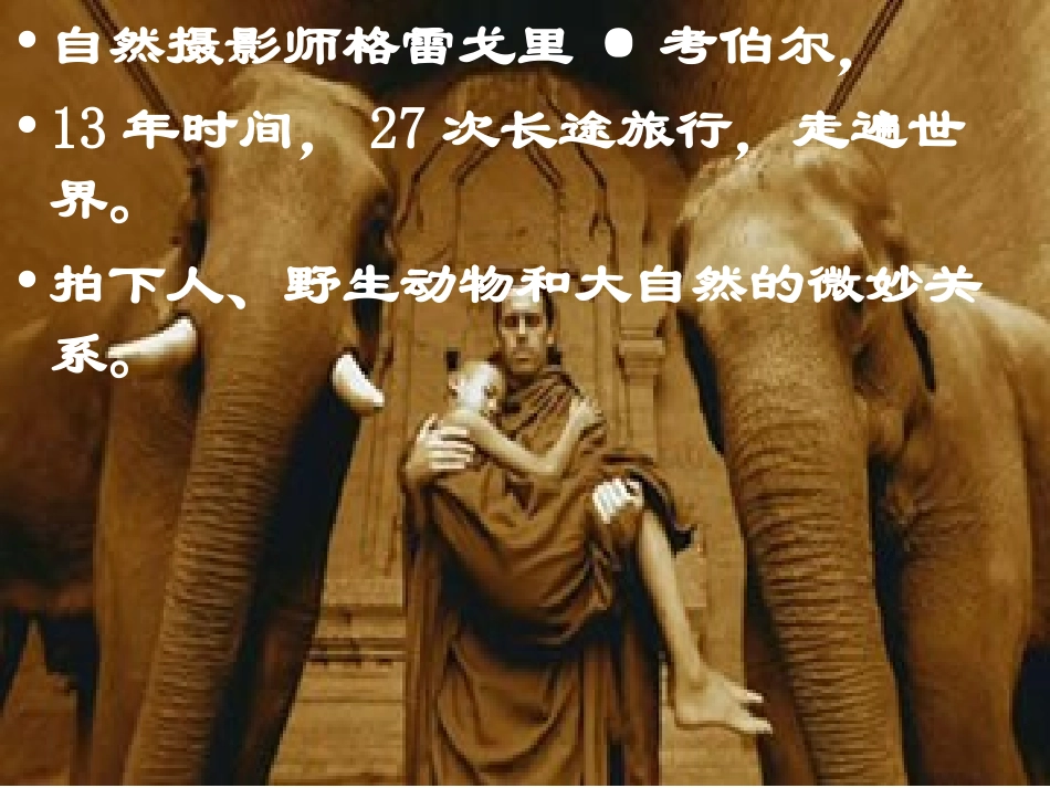 请允许我为你诵一部经_第2页