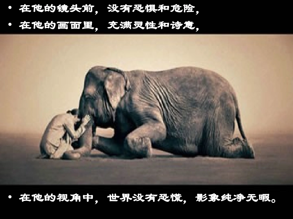 请允许我为你诵一部经_第3页