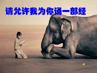请允许我为你诵一部经