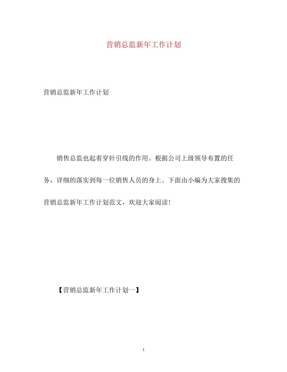 营销总监新年工作计划_第1页