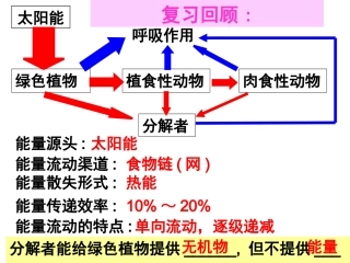 物质偱环（新教材）