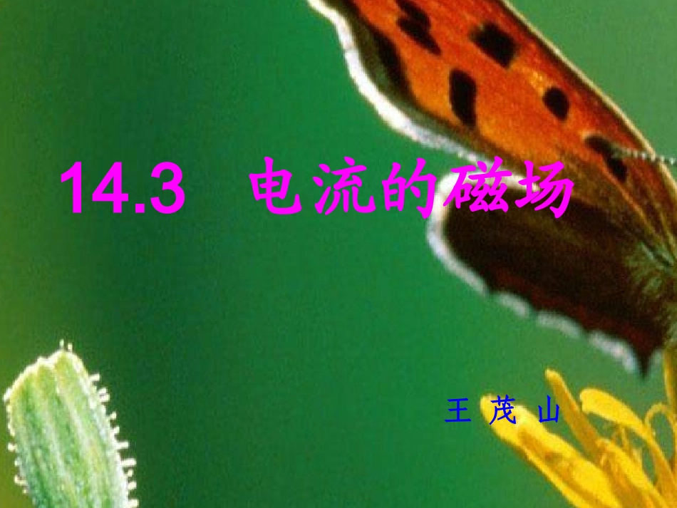 电流的磁场课件[1]_第1页