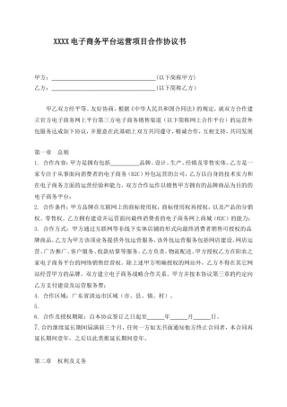 电子商务平台运营项目合作协议书