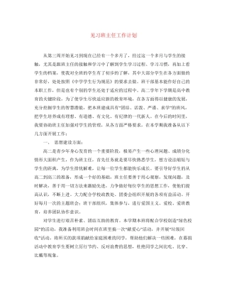 见习班主任工作计划