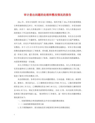 审计查出问题的处理和整改情况的报告 
