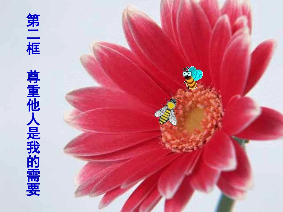《尊重他人是我的需要》课件_第1页