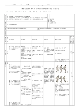 新华四小——巫文康足球教案