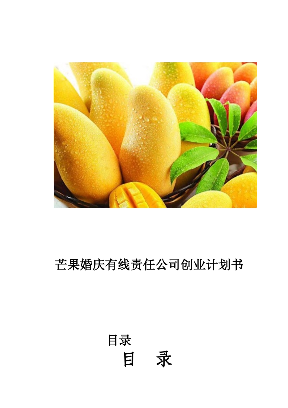 婚庆公司创业计划书_第1页