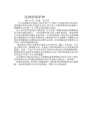 法律的保护神